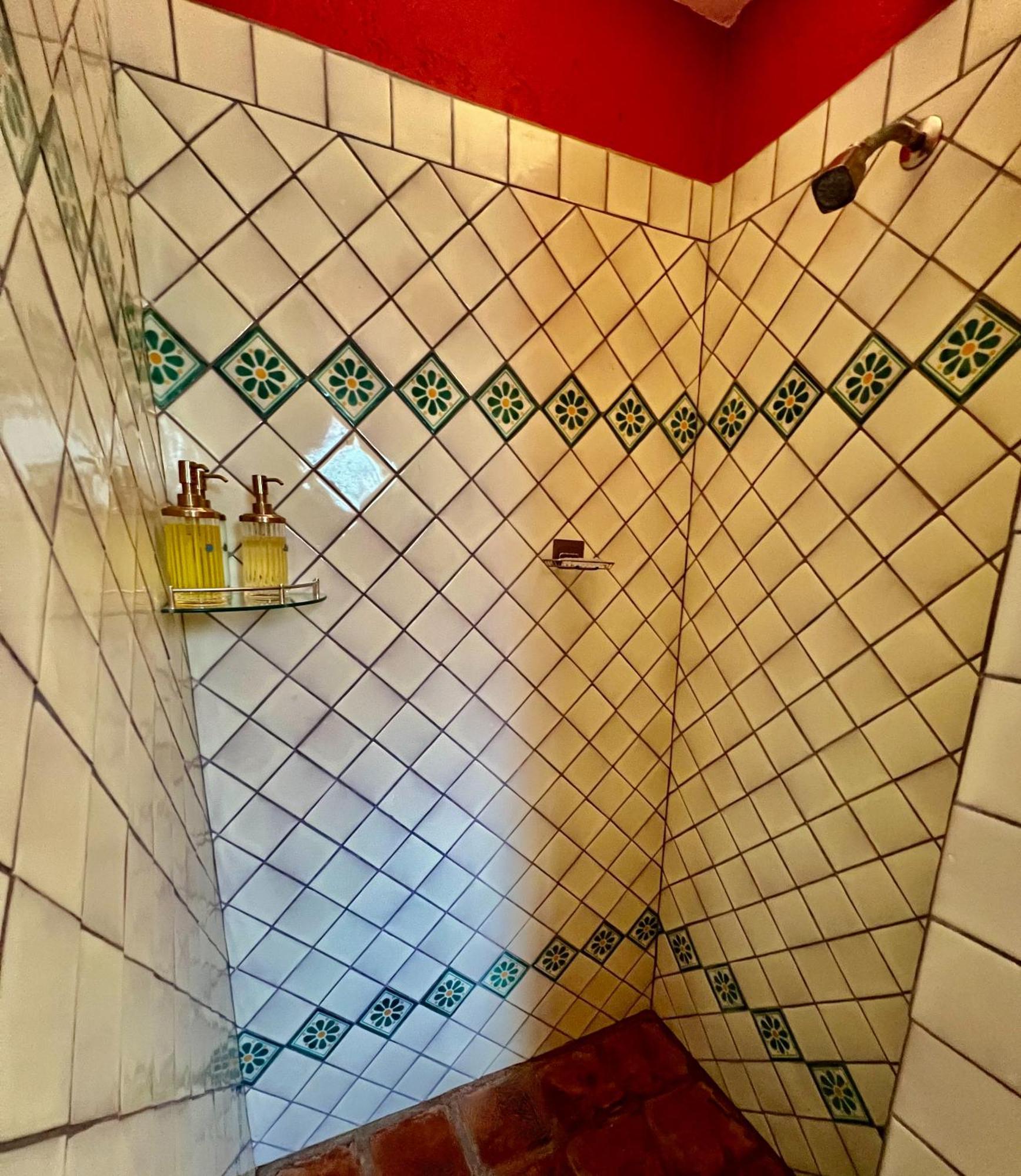 Boutique Hotel Casa Camellia 圣米格尔－德阿连德 外观 照片
