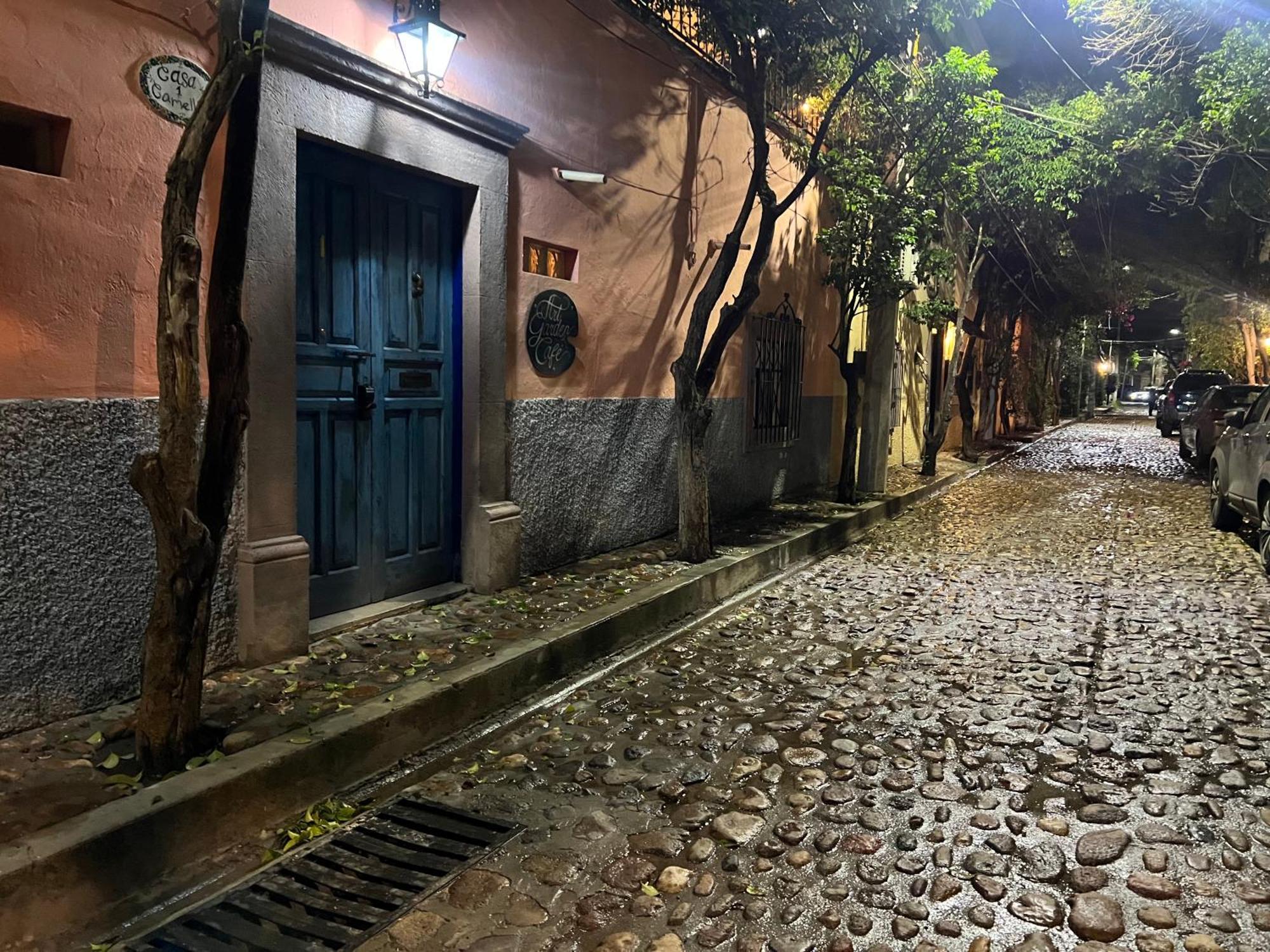 Boutique Hotel Casa Camellia 圣米格尔－德阿连德 外观 照片