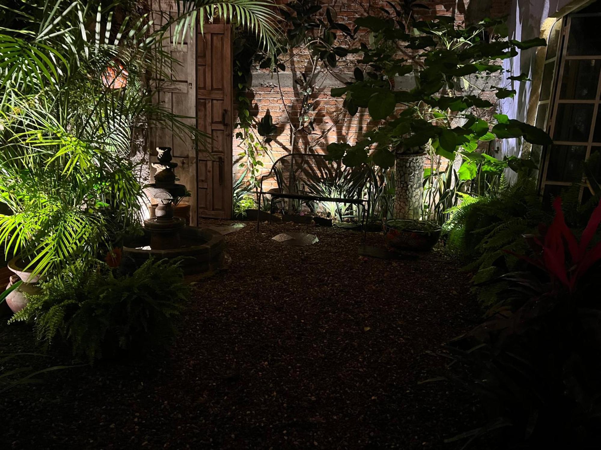 Boutique Hotel Casa Camellia 圣米格尔－德阿连德 外观 照片